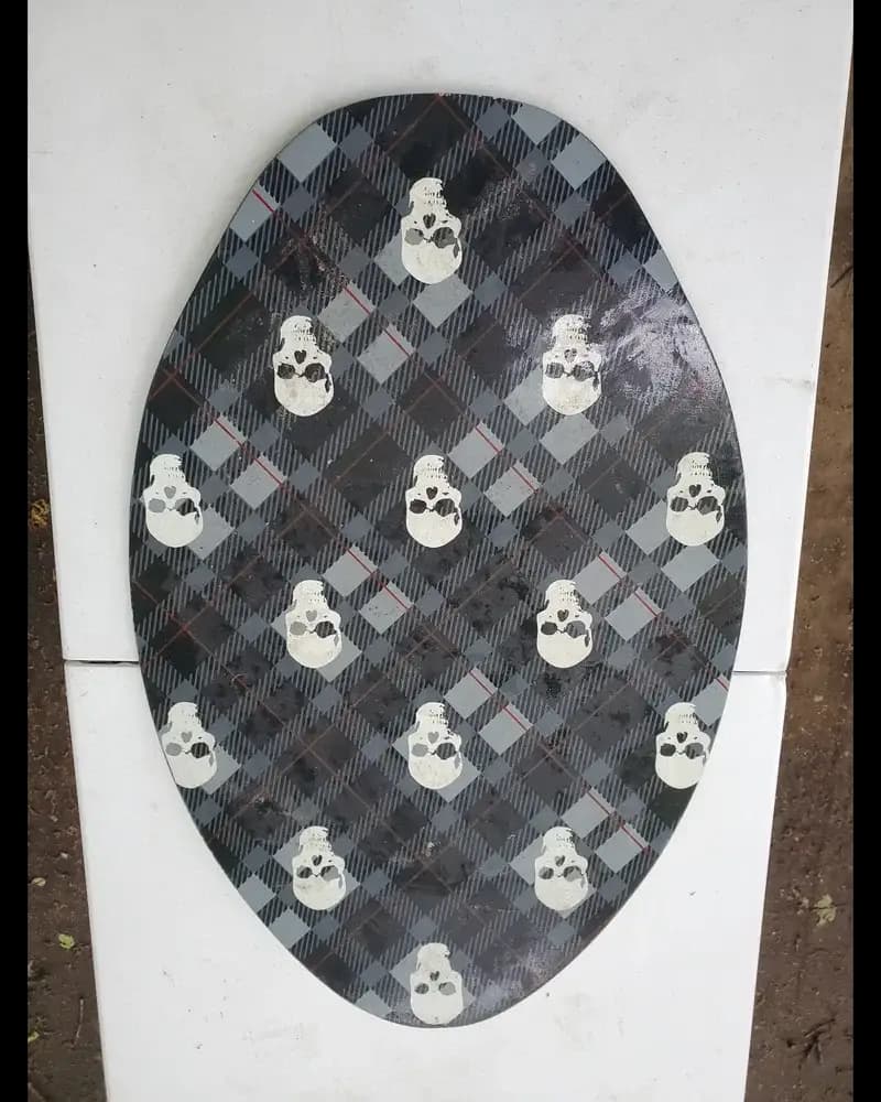 Burton Shaun White skull snowboard