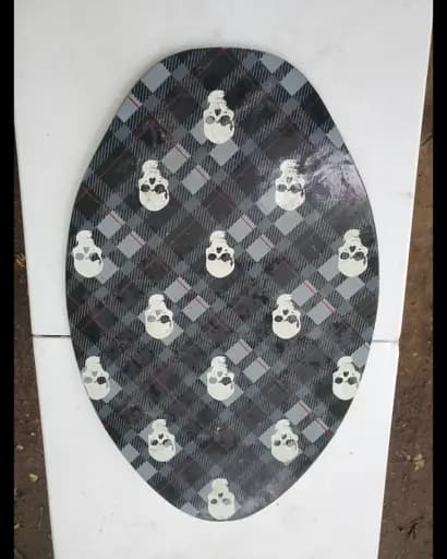 Burton Shaun White skull snowboard
